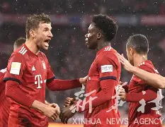 山东男篮启动第四外援预案